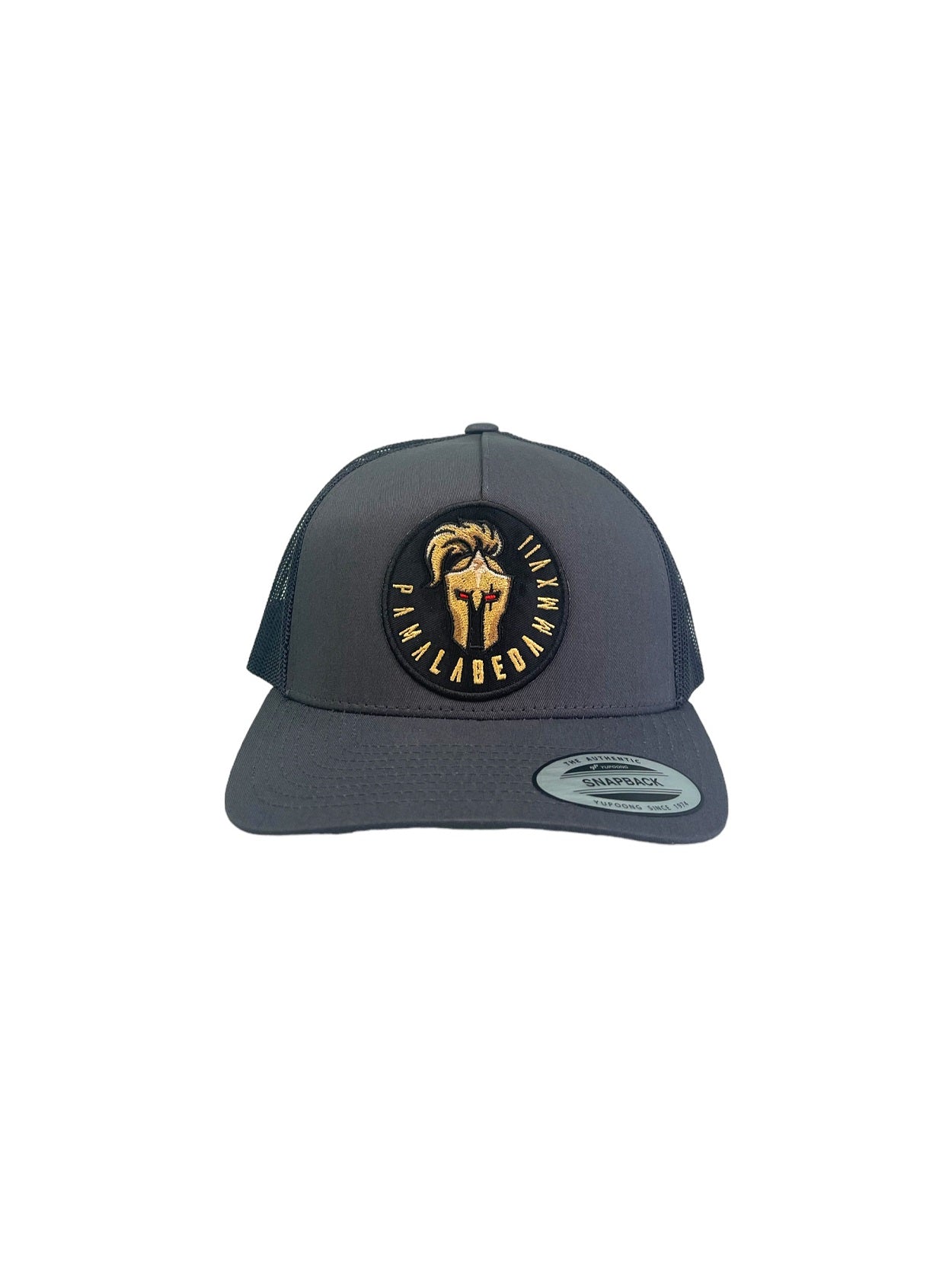 Curve Bill Hat – 5 Panel Retro Trucker Labeda Knights Grey